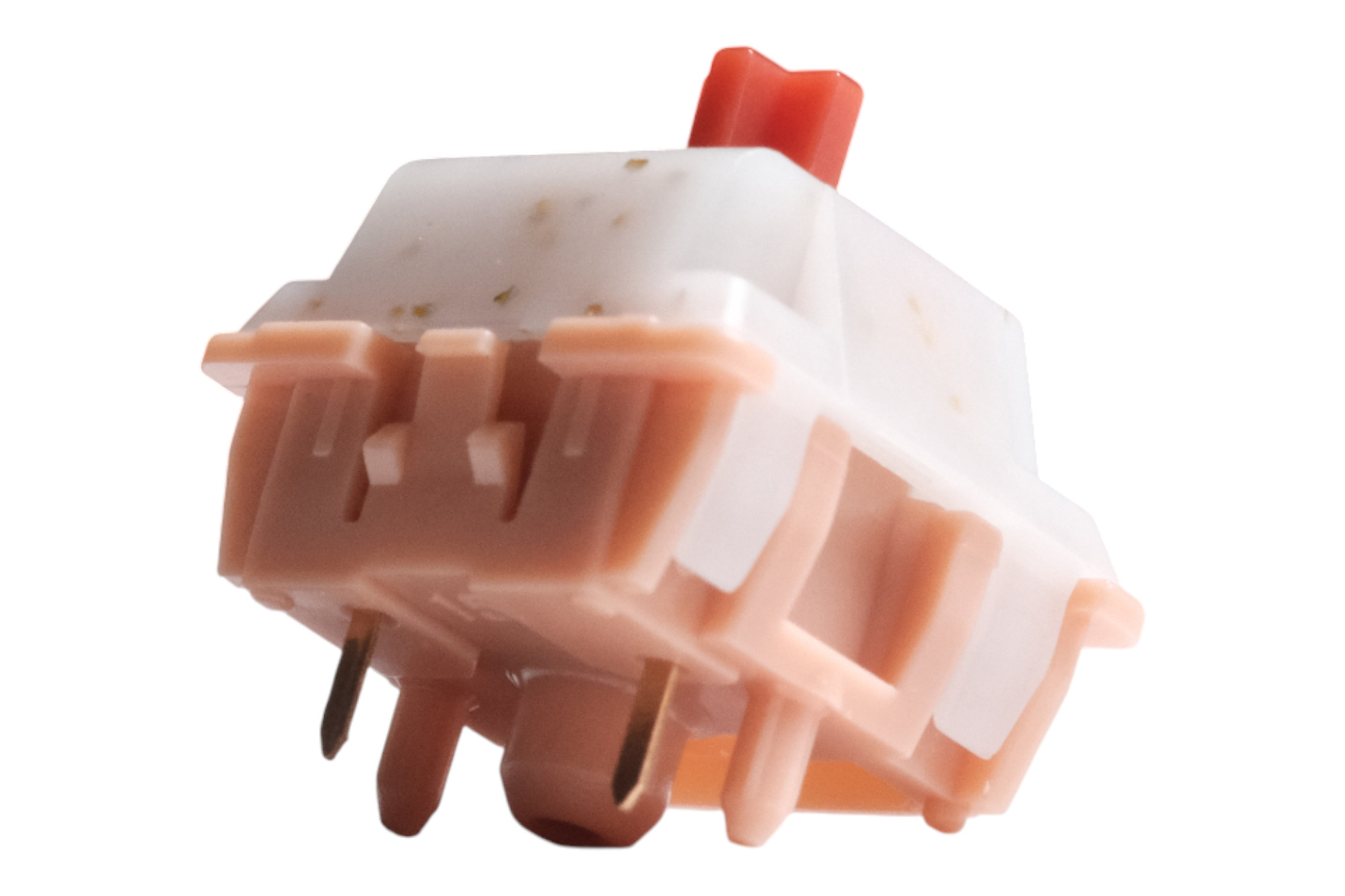 Invokeys Goji Reserve Tactile Switch · Milktooth